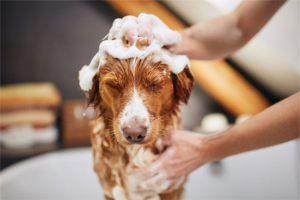 bathing1